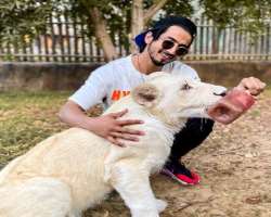 Faisu is an animal lover and enjoys spending time with them. 